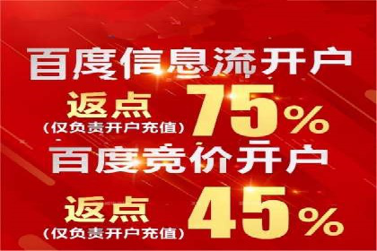 竞价排名案例：低成本获客策略